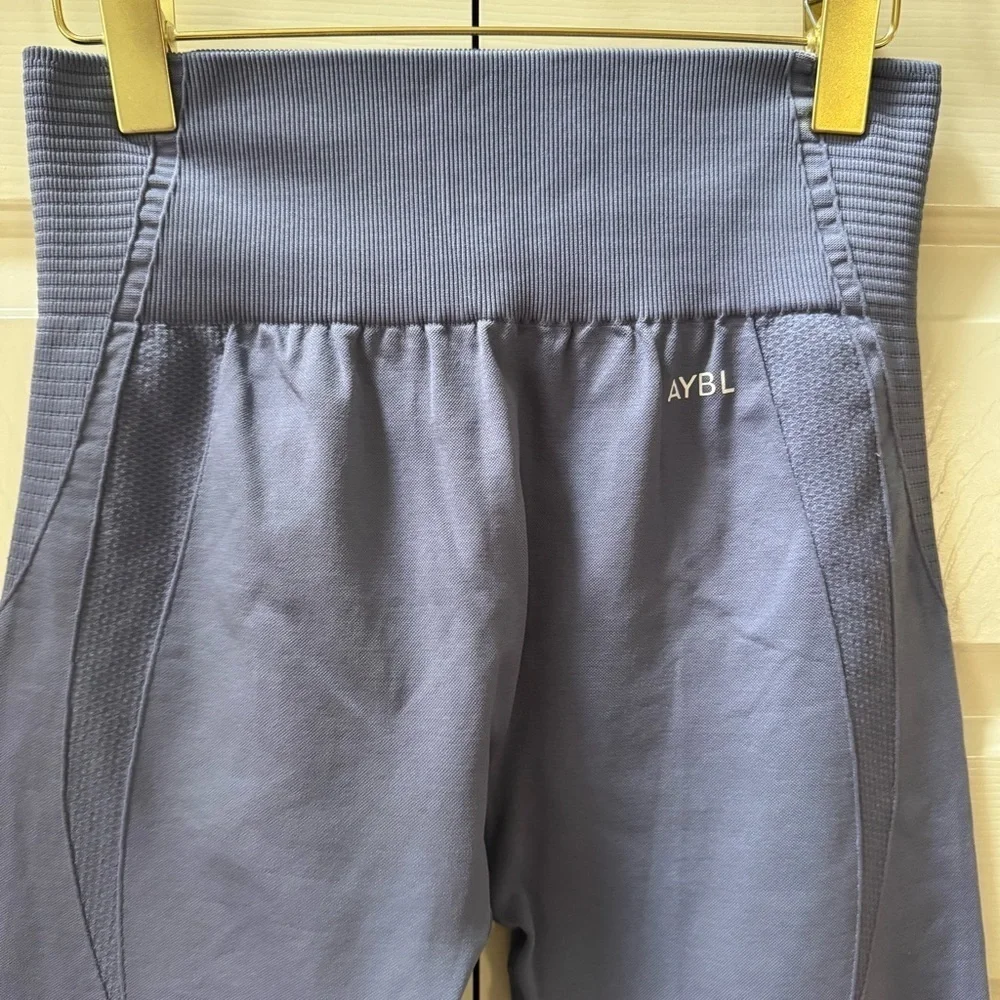 AYBL Balance V3 Seamless Leggings Mauve Women’s size large